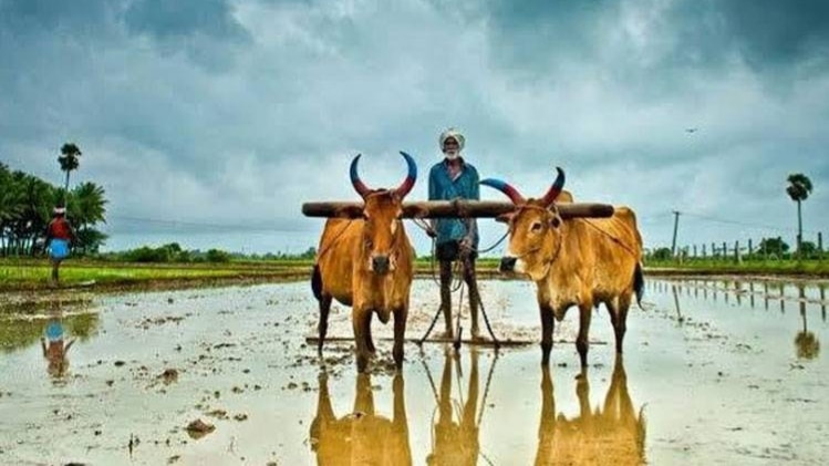 ट्विटर फोटो- @RahulGandhi