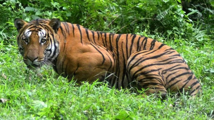 फाइल फोटो- aajtak.in