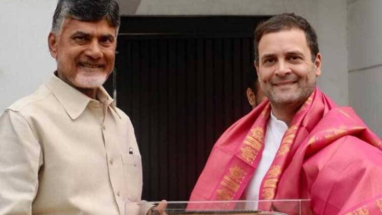 आंध्र प्रदेश के CM एन चंद्रबाबू नायडू और राहुल गांधी (फाइल, ANI)