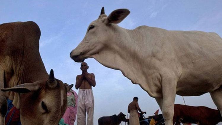 सांकेतिक तस्वीर (फाइल फोटो: पीटीआई)