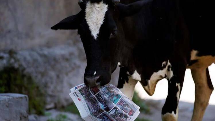 प्रतीकात्मक तस्वीर (रॉयटर्स)