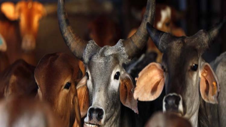 प्रतीकात्मक तस्वीर (फोटो- Reuters)