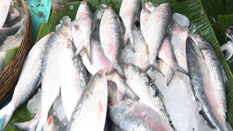 प्रतीकात्मक फोटो.