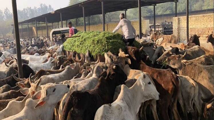 फोटो- आज तक