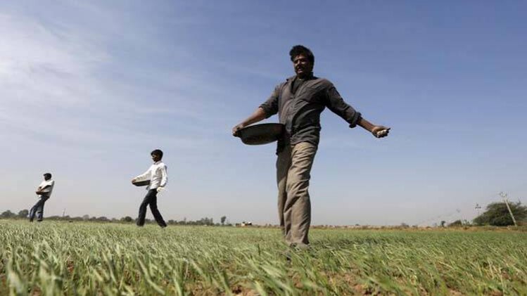 भारत की खेती-किसानी में इफको का बड़ा रोल है. (फोटो-रॉयटर्स)