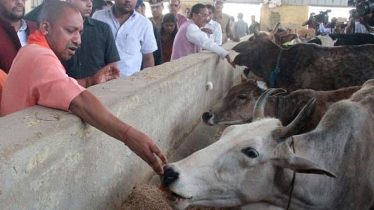 योगी आदित्यनाथ (फाइल फोटो)