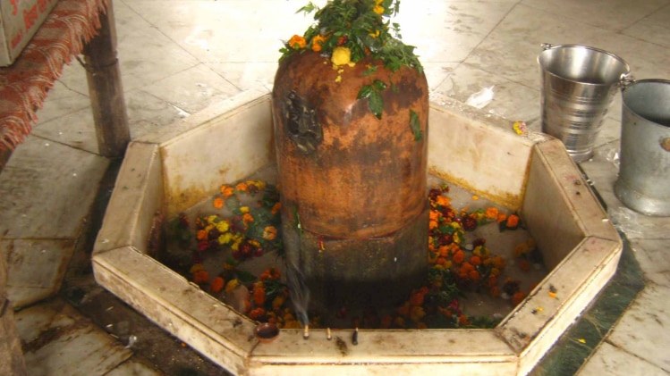 प्रतीकात्मक तस्वीर