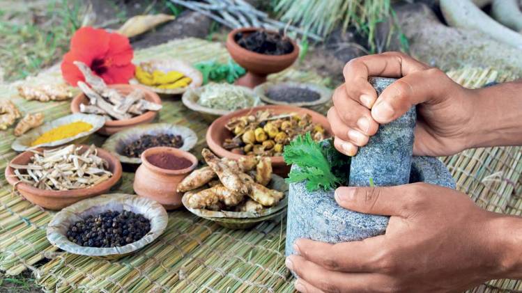 क्या आपके घर में भी हैं ये 5 आयुर्वेदिक औषधियां क्या आपके घर में भी हैं ये 5 आयुर्वेदिक औषधियां
