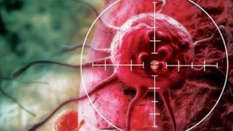 प्रतीकात्मक तस्वीर