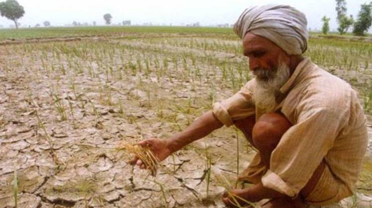 सांकेतिक तस्वीर (फाइल फोटो-पीटीआई)