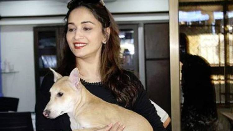 माधुरी दीक्षित (इंस्टाग्राम)