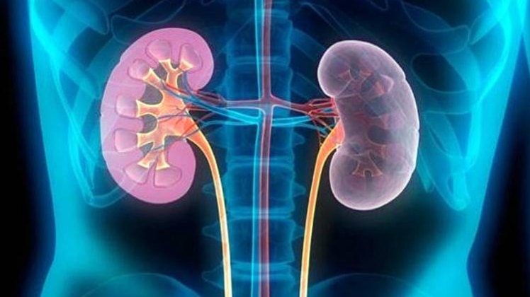 प्रतीकात्मक फोटो