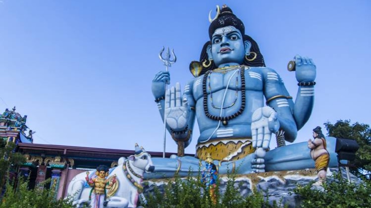 प्रतीकात्मक तस्वीर