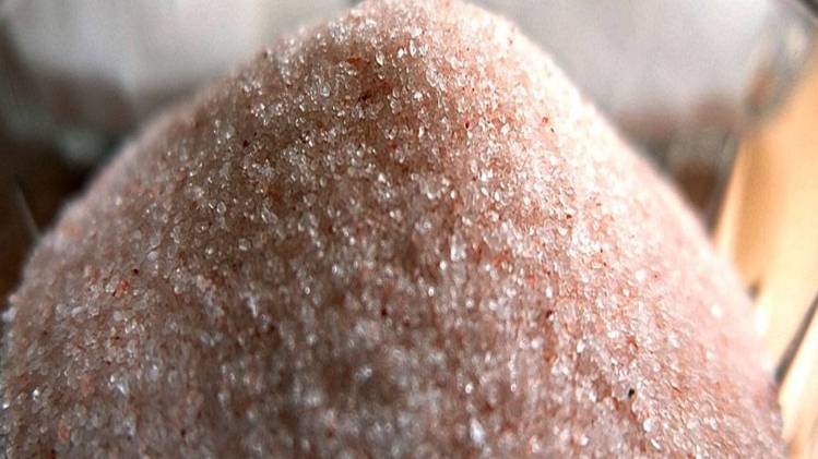 प्रतीकात्मक फोटो (Pixabay Image)