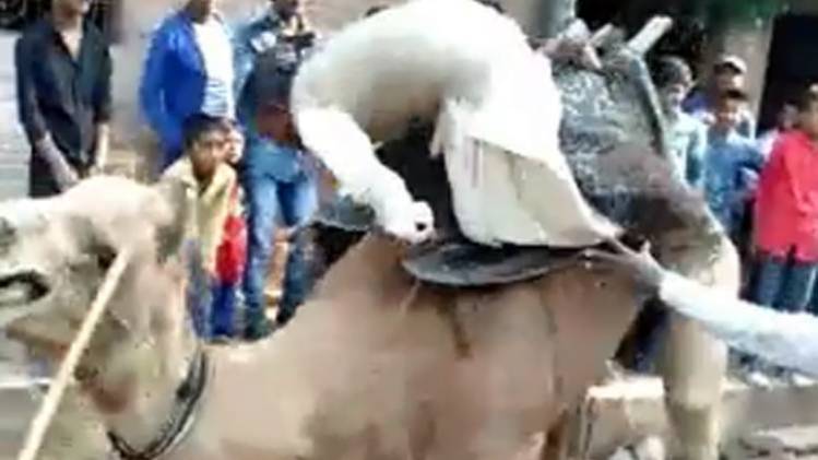 इस वी‍डियो को लेकर किए गए तरह-तरह के दावे