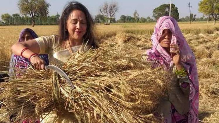 मथुरा से फिर से किस्मत आजमा रही हैं हेमा मालिनी (फोटो-ट्विटर)