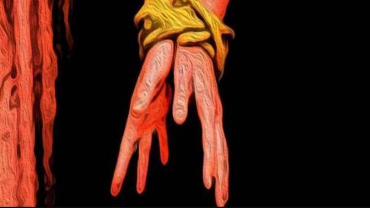 DCW ने 12 नेपाली लड़कियों को बचाया