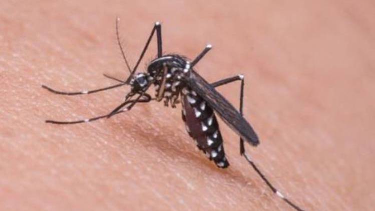 प्रतीकात्मक फोटो