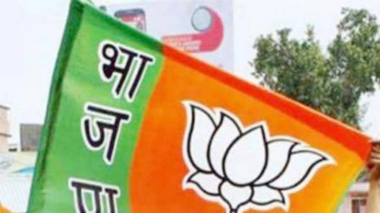 बीजेपी विधायक का धमकाते हुए वीडियो 