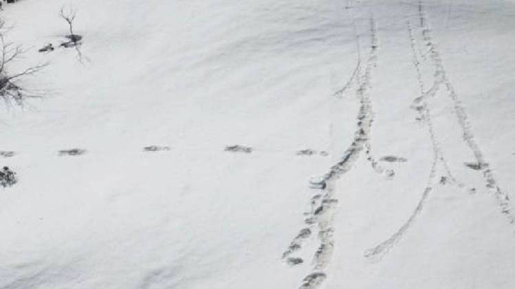 भारतीय सेना को मिले येति के निशान