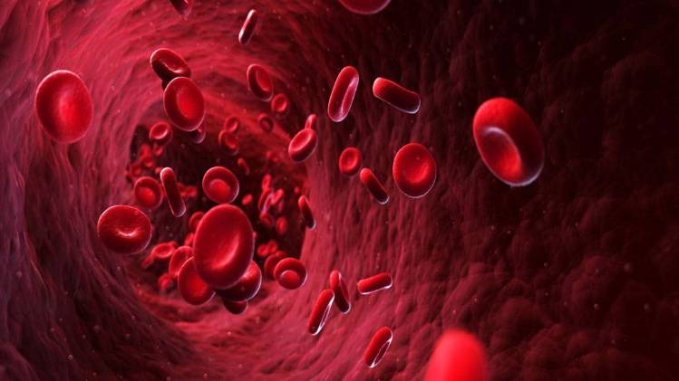 प्रतीकात्मक फोटो (Getty Image)