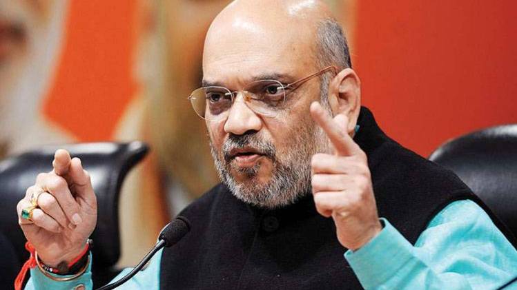 गुजरात की गांधीनगर सीट से चुनाव जीते हैं अमित शाह (फाइल फोटो)