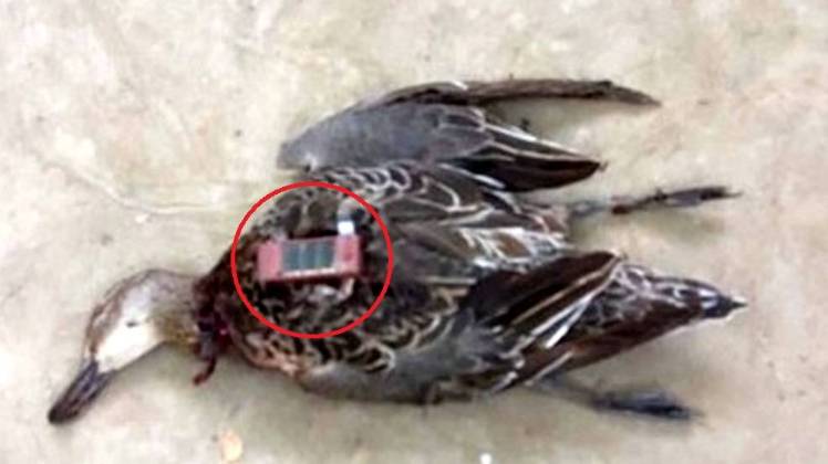 पुलिस मामले की छानबीन कर रही है (फोटो- PTI)