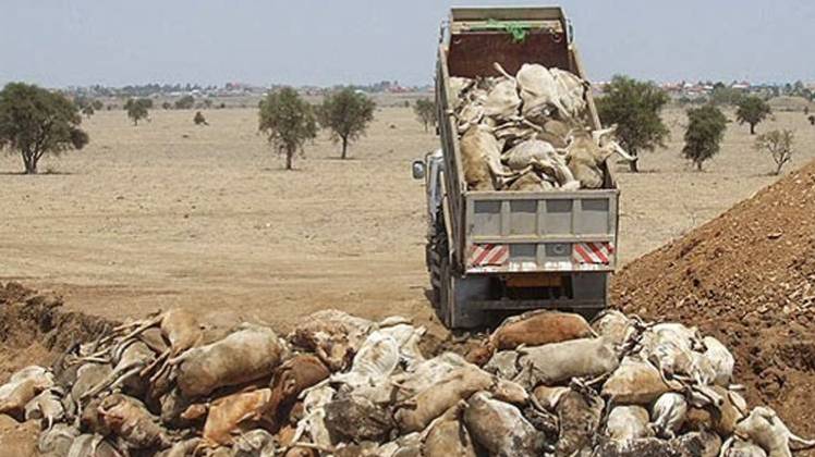 वायरल तस्वीर की हमने की पड़तालं