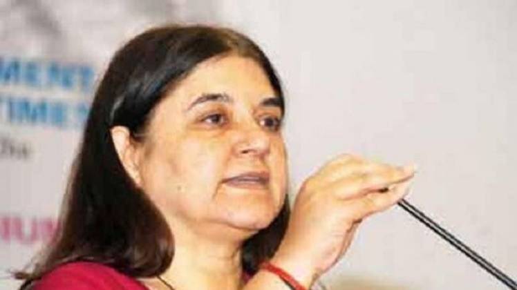 मेनका गांधी