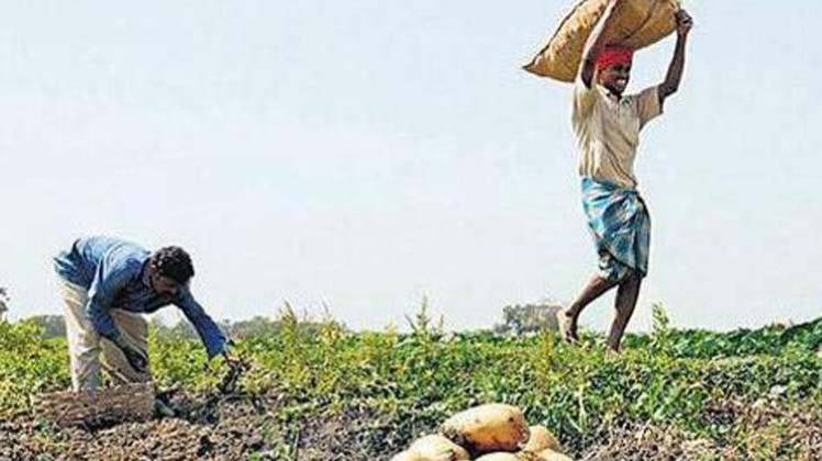 पेप्सिको ने आलू किसानों पर किया था मुकदमा 