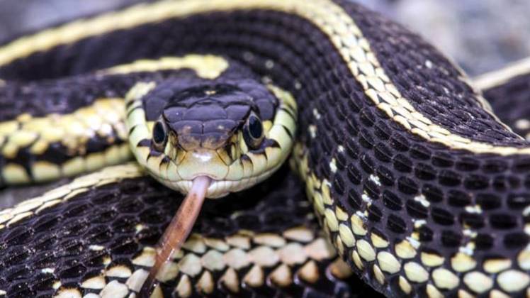 प्रतीकात्मक फोटो