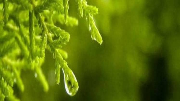 प्रतीकात्मक फोटो