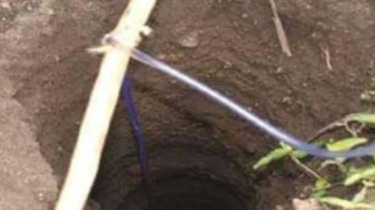 सांकेतिक तस्वीर