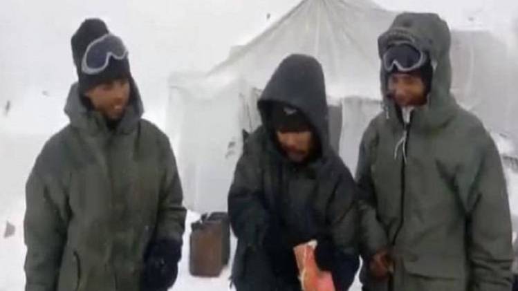 टमाटर हो जाते हैं पत्थर