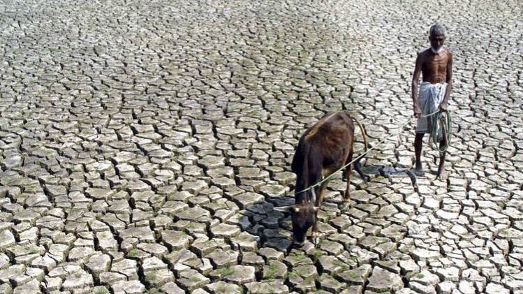 कई राज्यों में सूखे जैसे हालात 