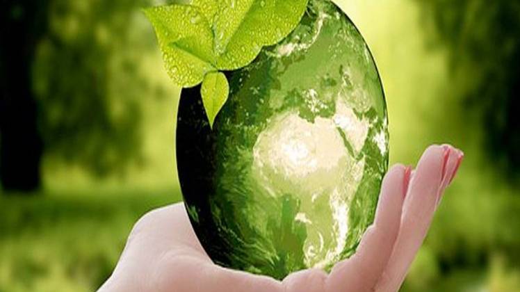 प्रतीकात्मक फोटो (Pixabay Image)