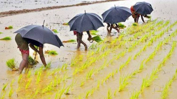कर्ज नहीं चुकाने पर अब नीलाम होगी जमीन (Photo: Reuters)