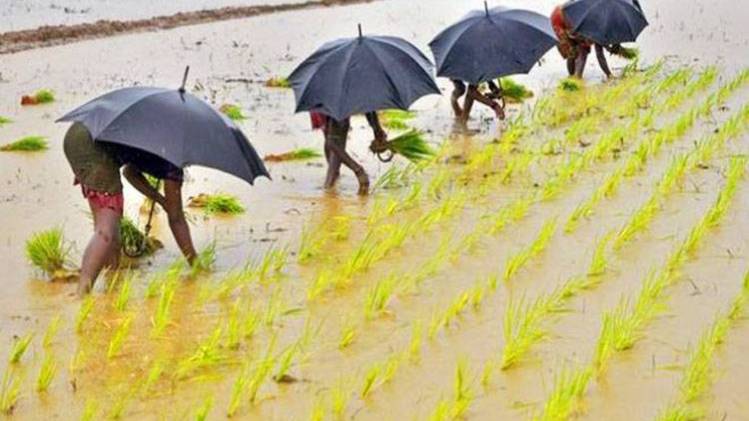 मौजूदा फसल बीमा को लेकर किसानों की लंबी शिकायतें (Photo: Reuters)