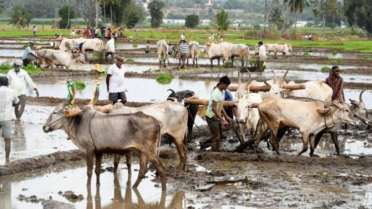 चक्रवाती तूफान वायु की तस्वीर (फाइल फोटो- एएनआई)