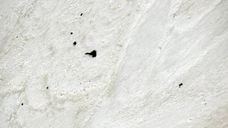 वायुसेना ने पांच लाशें देखी