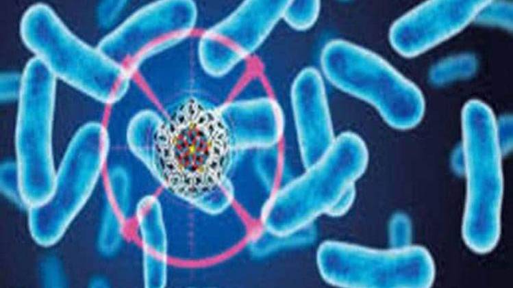 केरल में निपाह सक्रमण होने का शक