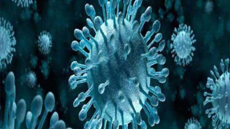 प्रतीकात्मक तस्वीर