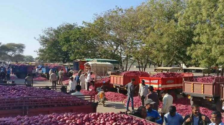 महाराष्ट्र में प्याज किसानों का संकट भी रहा बड़ा मुद्दा. (Photo: Reuters)