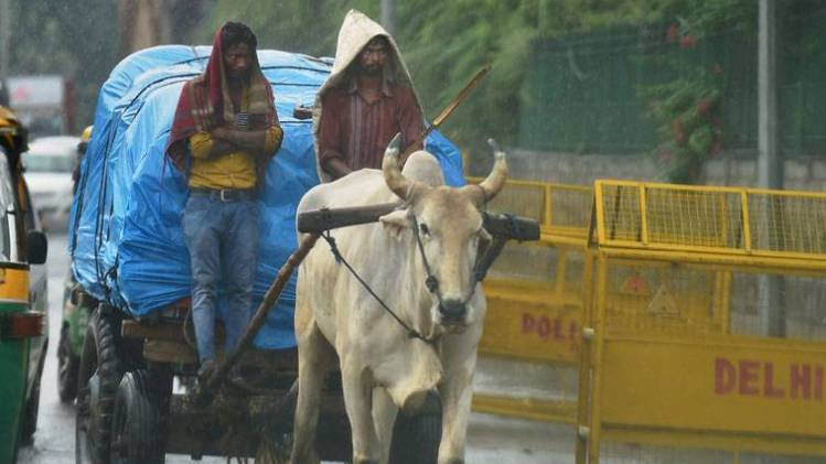 बाल श्रम (प्रतीकात्मक तस्वीर-PTI)