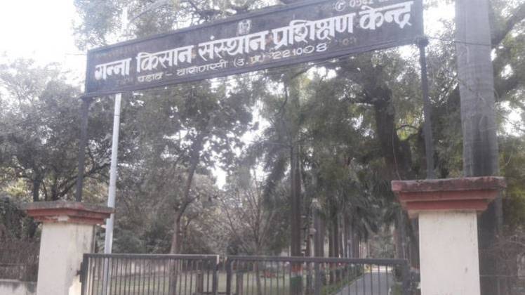 गन्ना किसान संस्थान परिसर में लगेगी पंडित दीनदयाल की 63 फुट ऊंची प्रतिमा
