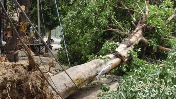 फाइल फोटो