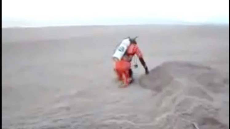 वायरल वीडियो