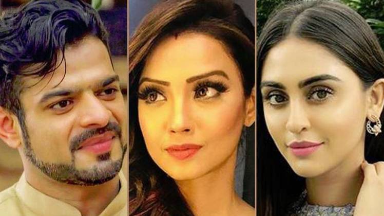 करण पटेल, अदा खान, क्रिस्टल डिसूजा