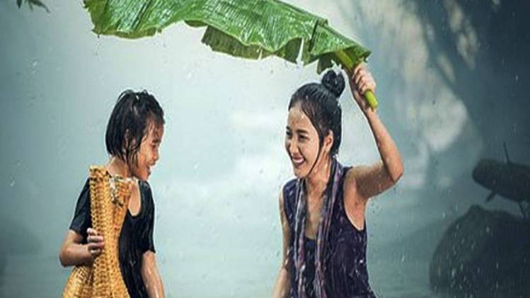 प्रतीकात्मक फोटो (Pixabay Image)