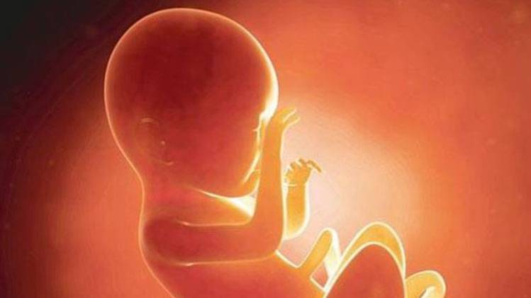 याचिका में कहा गया है कि प्रजनन महिलाओं की पसंद का मामला है.